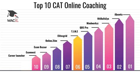 top 10 online cat coaching